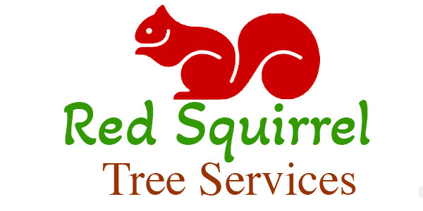 Red Squirrel Tree Services